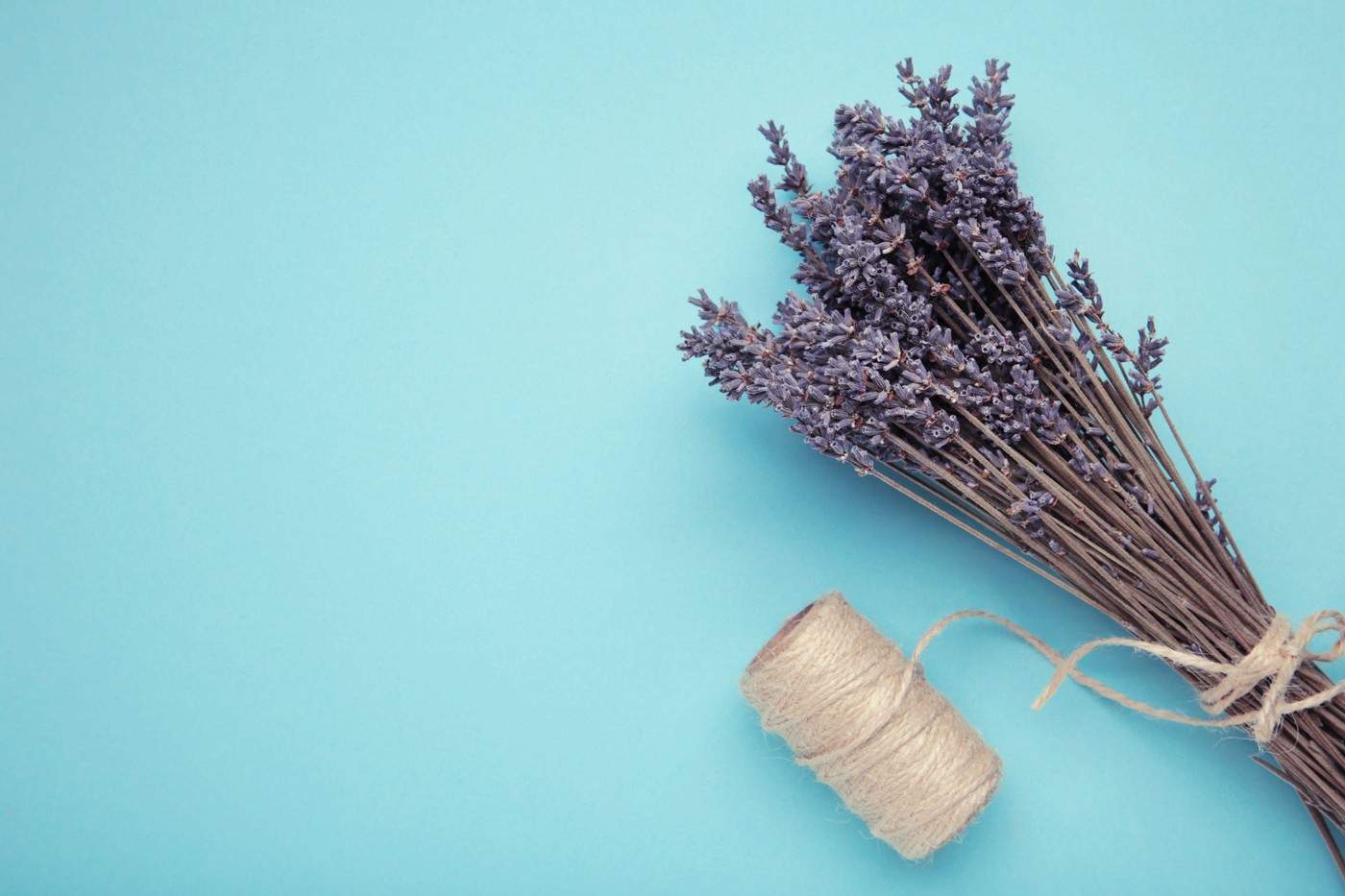 Cele mai recomandate plante pentru dormitor. Îți vor aduce un somn mai liniștit și odihnitor