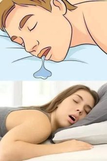 631551565 1352155530286008 4279160788045943146 n